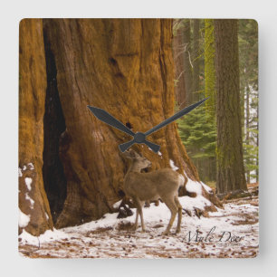 Horloge Carrée Mule Deer