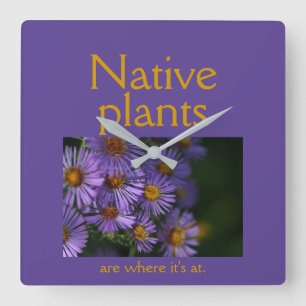 Horloge Carrée Native plants are where it's at