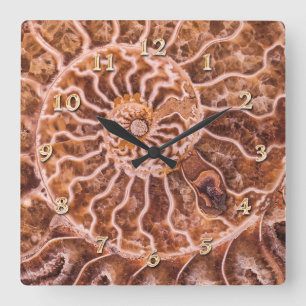 HORLOGE CARRÉE NAUTILUS ANCIEN SPIRAL