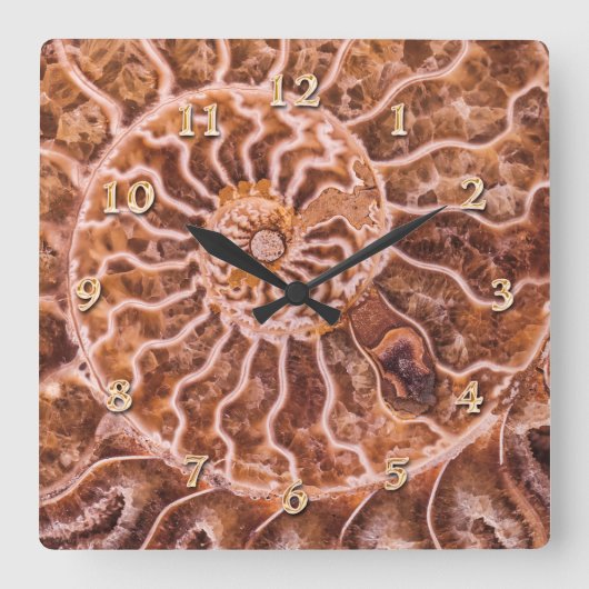 HORLOGE CARRÉE NAUTILUS ANCIEN SPIRAL (Recto)