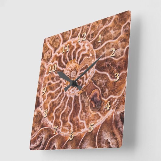 HORLOGE CARRÉE NAUTILUS ANCIEN SPIRAL (Angle)