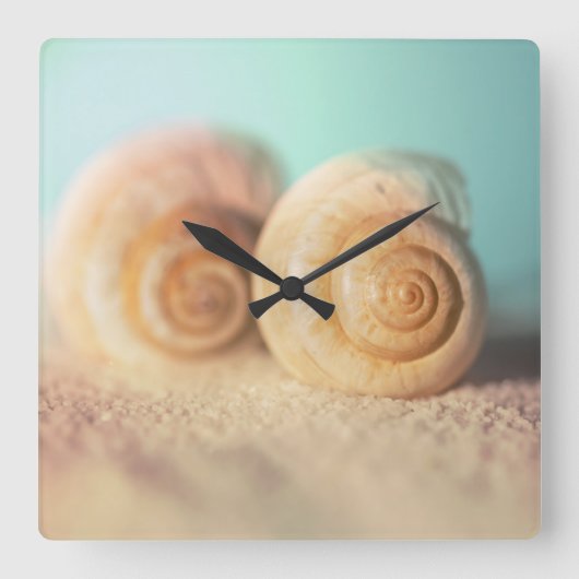 Horloge Carrée Nautilus Shells (Recto)