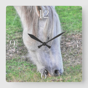 Horloge Carrée New Forest Pony Hampshire, Angleterre