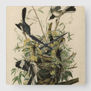 Horloge Carrée Northern Mocking Bird, Audubon's Birds of America