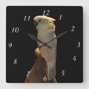 Horloge Carrée Oiseau fait sur commande de cacatoès posant