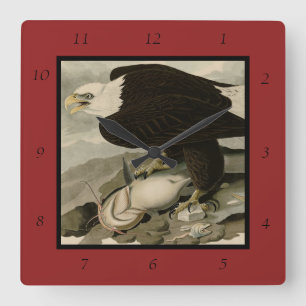 Horloge Carrée Oiseaux d'Amérique à tête blanche (aigle à tête bl