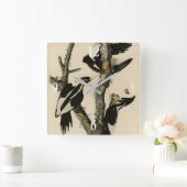 Horloge Carrée Oiseaux d'Amérique du pic à l'ivoire (Maison)