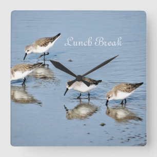Horloge Carrée Oiseaux "Pause déjeuner"