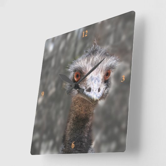 Horloge Carrée Ole Bird, Emu. (Angle)