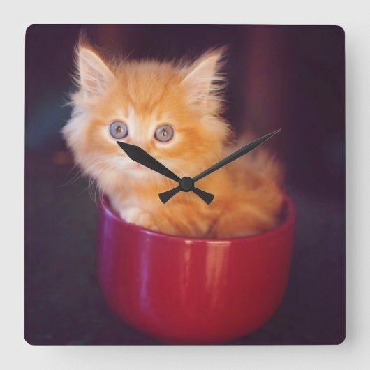 Horloge Carrée Orange Kitten (Recto)
