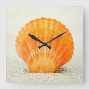Horloge Carrée Orange Scallop Shell Standing Upright In Sand