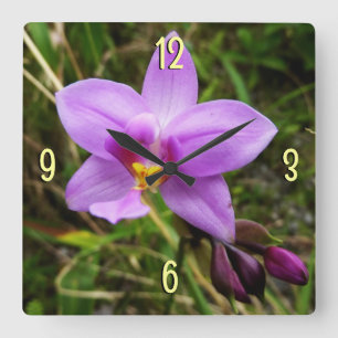 Horloge Carrée Orchidée sauvage violette Fleur tropicale