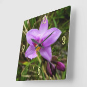 Horloge Carrée Orchidée sauvage violette Fleur tropicale (Angle)