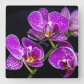 Horloge Carrée Orchidée violette (Recto)