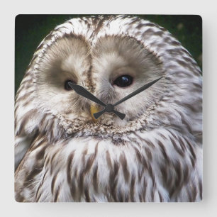 HORLOGE CARRÉE OWLS