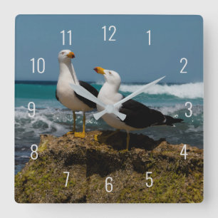 Horloge Carrée Pacific Gull Bird Beach à Paradise Australie