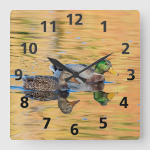 Horloge Carrée Paire de Mallards