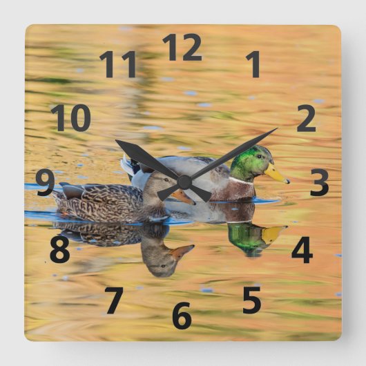 Horloge Carrée Paire de Mallards (Recto)