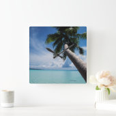 Horloge Carrée Palau, micronesia, palm tree at Palau Lagoon (Maison)