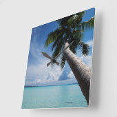 Horloge Carrée Palau, micronesia, palm tree at Palau Lagoon (Angle)