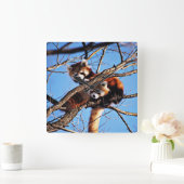 Horloge Carrée pandas rouges (Maison)