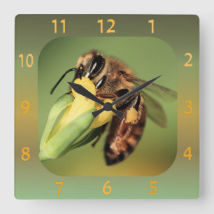 Horloge Carrée Panier en gros plan de pollen d'abeille
