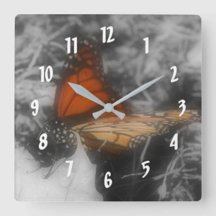 Horloge Carrée Papillon Monarque En Nature Noire Et Blanche