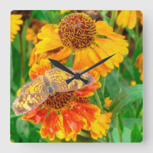 Horloge Carrée Papillon Pearl Crescent sur l'herbe éternuée