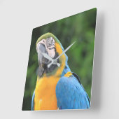 Horloge Carrée Parrot Clock (Angle)
