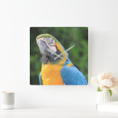 Horloge Carrée Parrot Clock (Maison)