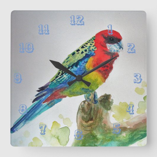 Horloge Carrée Parrot Rosella Oiseaux australiens Aquarelle (Recto)