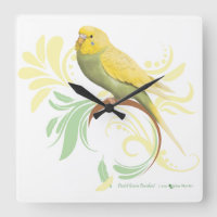 Pastel Green Parakeet