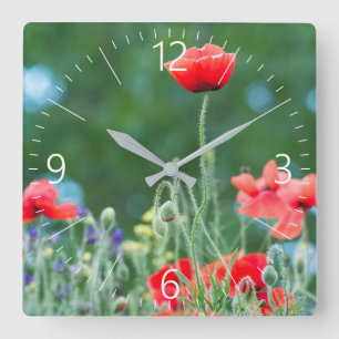 Horloge Carrée Pavot sauvage