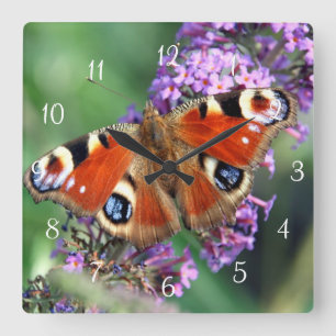 Horloge Carrée Peacock Butterfly