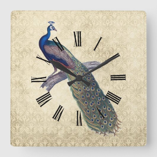 Horloge Carrée Peacock sur Elegant Ivory Damask (Recto)