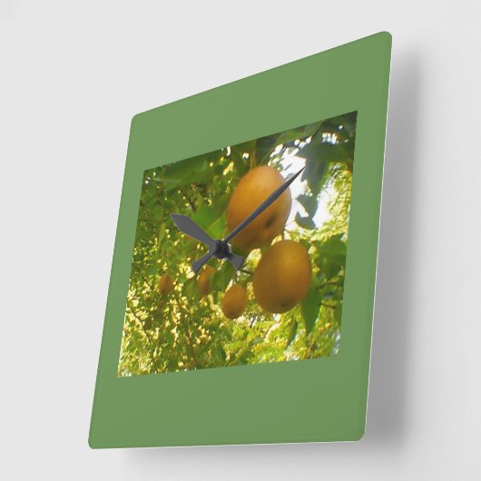 Horloge Carrée Pear tree (Angle)