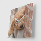 Horloge Carrée Peecing de Goldendoodle (Angle)