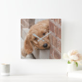 Horloge Carrée Peecing de Goldendoodle (Maison)