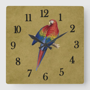 Horloge Carrée Perroquet tropical