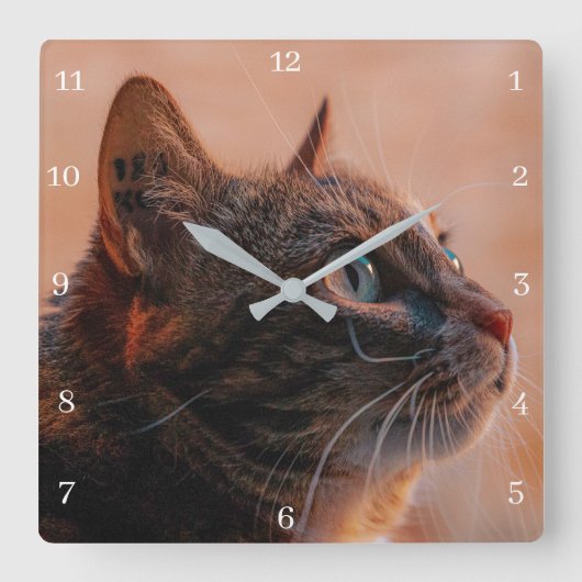 Horloge Carrée Pet Cat (Recto)