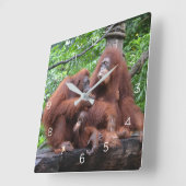 Horloge Carrée Petit déjeuner avec le zoo de Singapour Orangutans (Angle)