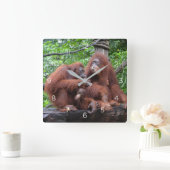 Horloge Carrée Petit déjeuner avec le zoo de Singapour Orangutans (Maison)