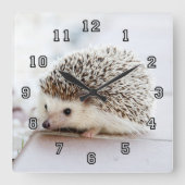 Horloge Carrée Petit hérisson (Recto)