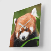 Horloge Carrée Petit Panda Rouge (Angle)