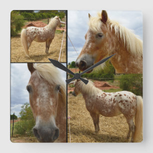 Horloge Carrée Photo Collage d'Appaloosa Horses