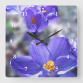 Horloge Carrée Photo Crocus Purple Flowers (Recto)