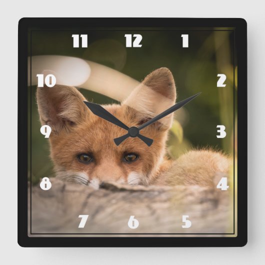 Horloge Carrée Photo de Cute Little Orange Fox (Recto)