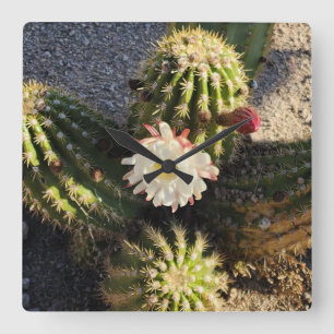 Horloge Carrée Photo de fleur de cactus