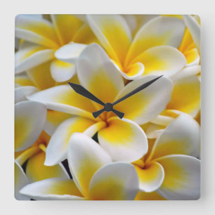 Horloge Carrée Photo de fleur de Plumeria de Frangipani