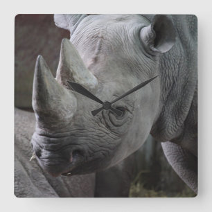 Horloge Carrée Photo de Rhinocéros Noir